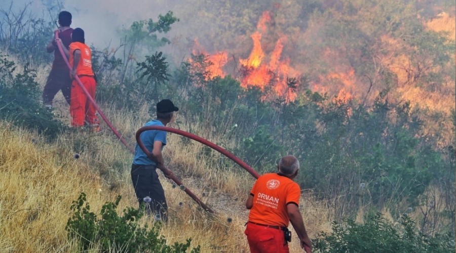 Kahramanmaraş'ta 10 hektar orman zarar gördü