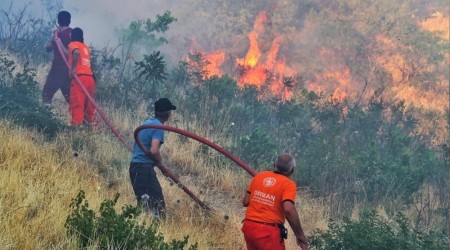 Kahramanmaraş'ta 10 hektar orman zarar gördü