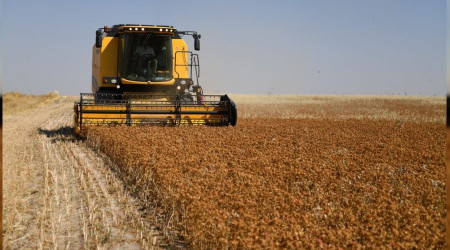 Kayseri'de 'Aspir' hasadı başladı