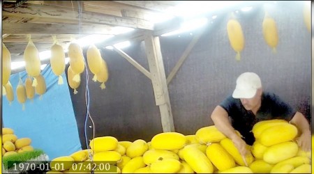 Komşunun yaptığı pes dedirtti