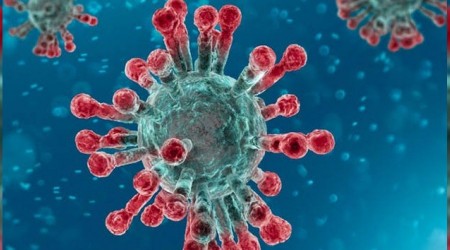 Korona hükümet düşürdü