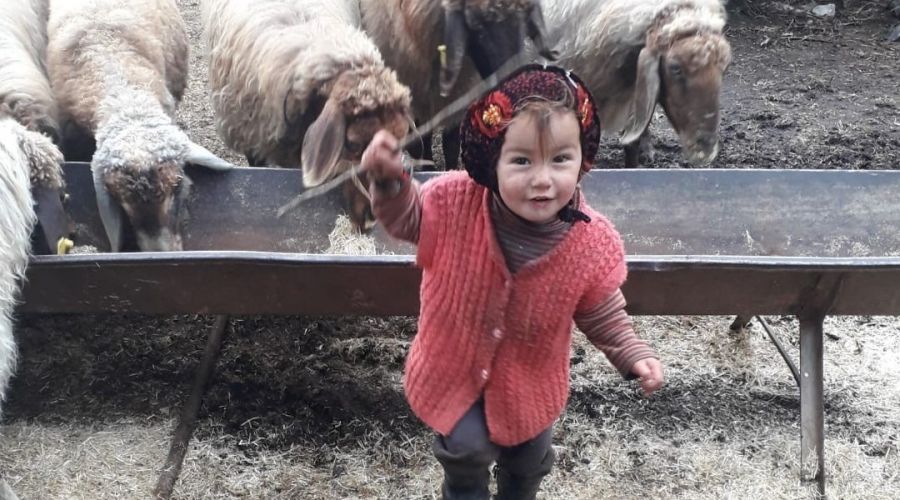 Küçük Müslüme Karaman'da defnedilecek