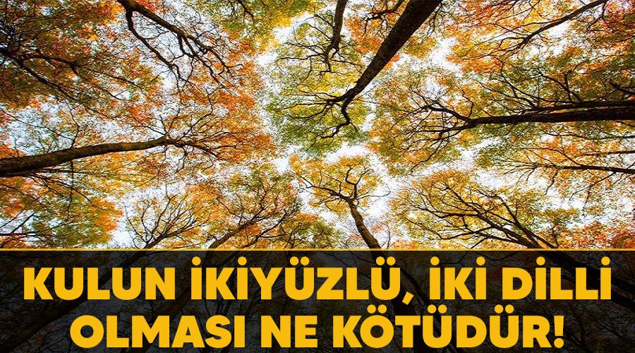 Kulun ikiyüzlü, iki dilli olması ne kötüdür!