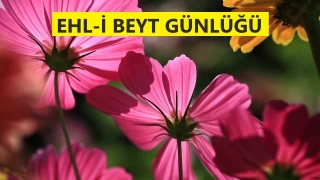 Kuran adaletin bahesi ve havuzudur