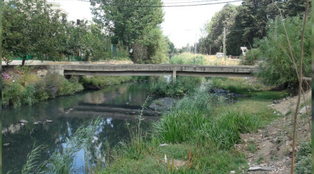 Lübnan'ın can damarından zehir akıyor