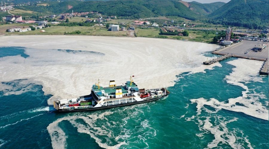 ‘Marmara Denizi'ni kirletmeye tam gaz devam ediyoruz’