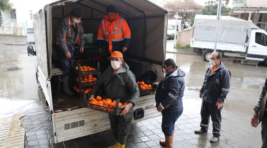 Marmaris'te toplanan turunlar vatandalara datld