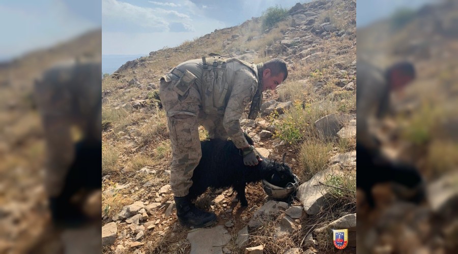 Mehmetçikten duygulandıran hareket