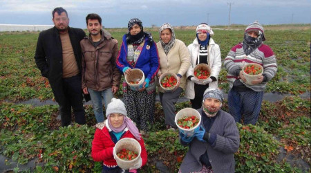 Mersin'de k ortas akta ilek hasad