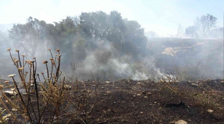 Örtü yangınında arı kovanları ve ağaçlar küle döndü