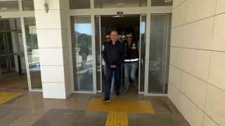 Sadece 'Cumhurbaşkanına hakaret suçundan' ceza aldı