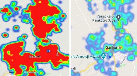 Şanlıurfa'da harita iki ayda yeşile döndü