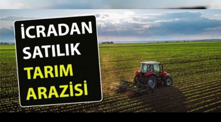 Silivri'de 5 dnm tarla icradan satlk