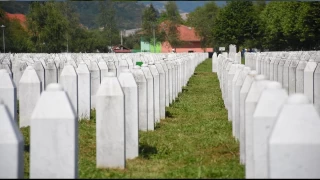 Srebrenitsa katliamnn 29. yldnm