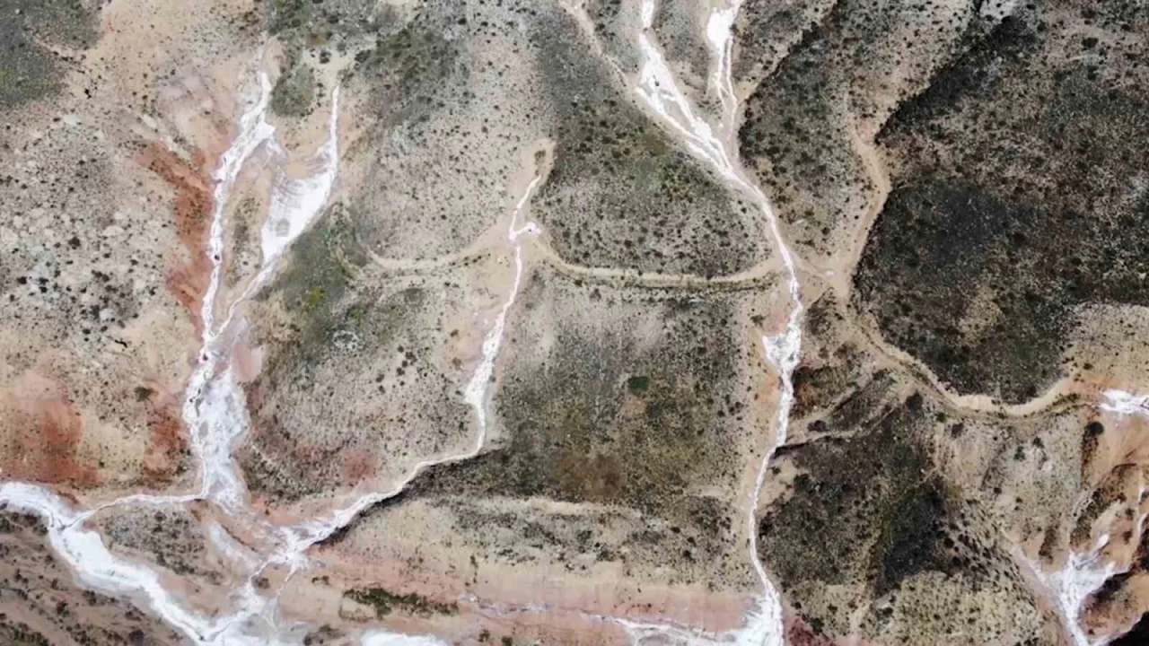 Tamamen doğal üretim... Bin 300 metreden çıkıyor