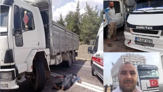 Tamir etmek istedikleri kamyon hareket etti, 2 kişi hayatını kaybetti