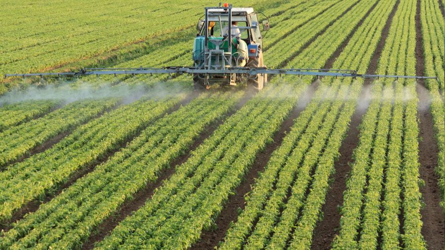 Tarım ihracatında Ege önde gidiyor