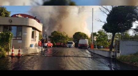Tekirdağ'da fabrika yangını