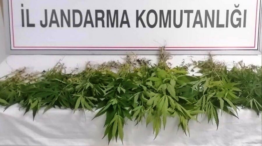 Uyuşturucu tacirlerine operasyon