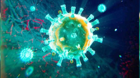 Veba yeniden hortladı!