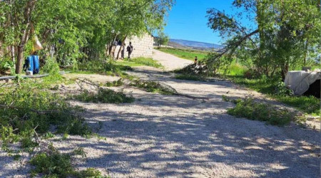 Adilcevaz'da şiddetli fırtına ekili alanlara zarar verdi