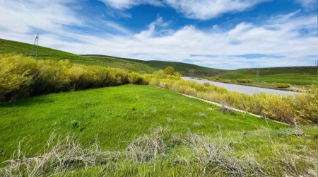 Ağrı, yeşilin tonlarıyla ışık saçtı
