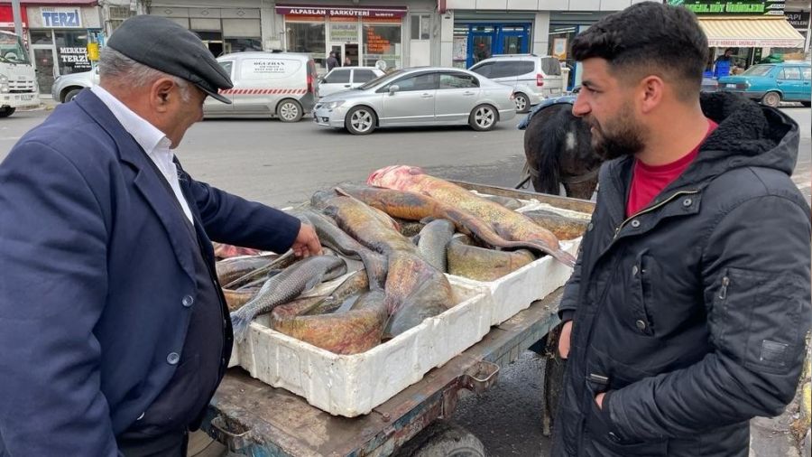 Ardahan'da boylar 1,5 metre 5 yayn bal yakaland