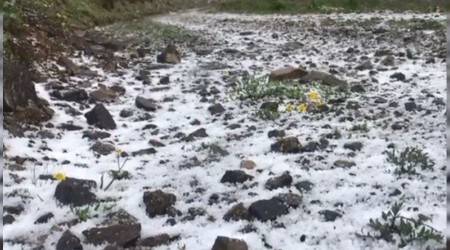 Artvin'in dağları yeniden beyaza büründü