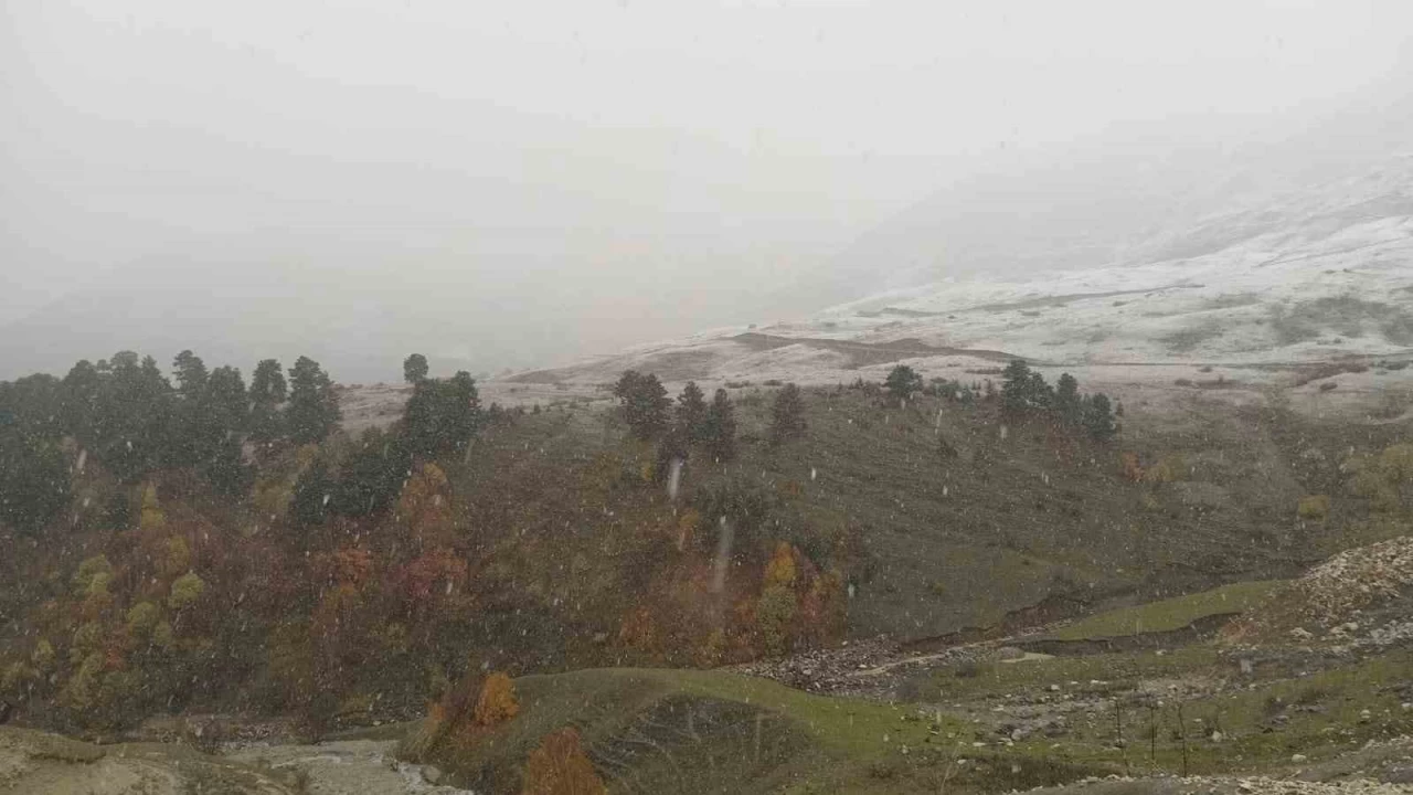 Artvin'in yksek kesimlerine mevsimin ilk kar dt