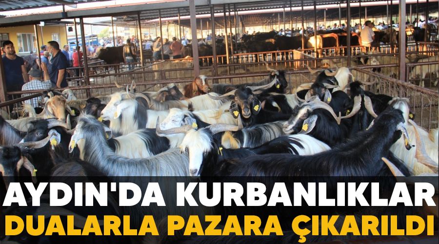 Aydn'da kurbanlklar dualarla pazara karld