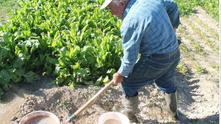 Baba bağda üretiyor genç oğlu tezgahta satıyor