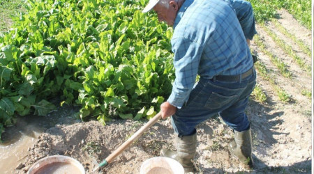Baba bağda üretiyor genç oğlu tezgahta satıyor