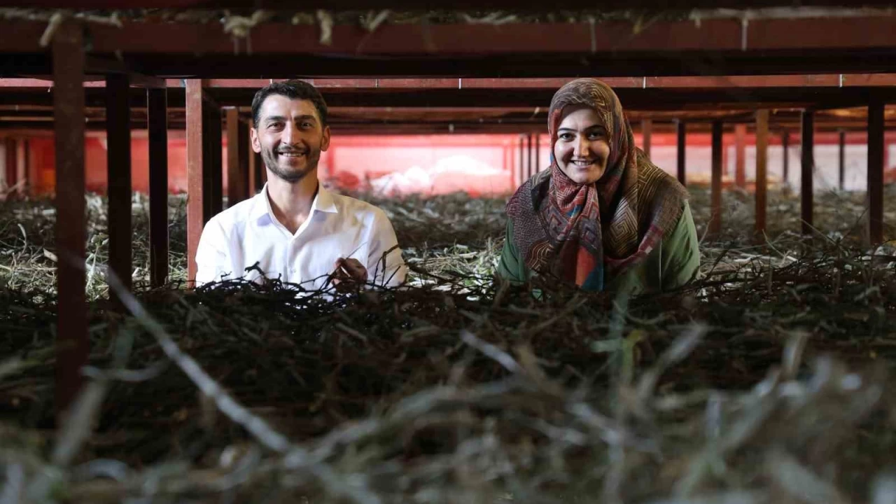 Babaannesinden esinlendi