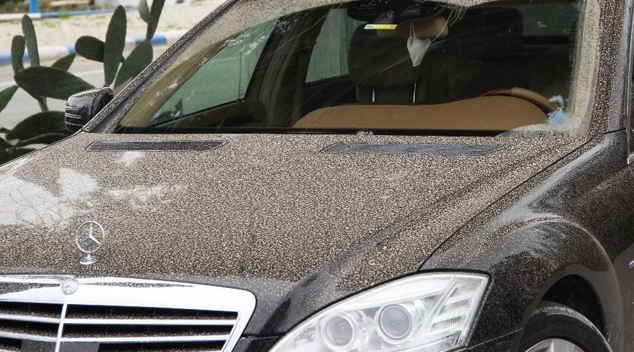 Bodrum'a çamur yağdı, oto yıkamacılarda yer kalmadı