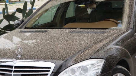 Bodrum'a çamur yağdı, oto yıkamacılarda yer kalmadı