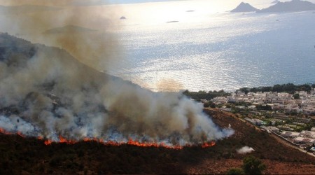 Bodrum'da 50 hektarlık alan kül oldu
