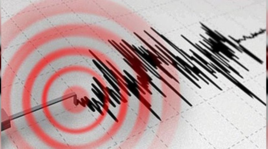 Bodrum'da korkutan deprem 