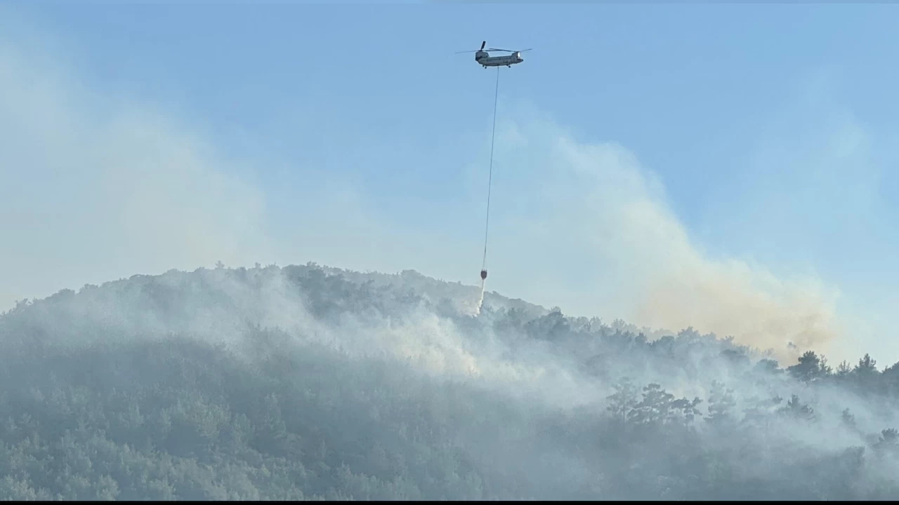 Bodrum'da korkutan yangın