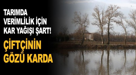 Çiftçinin gözü karda