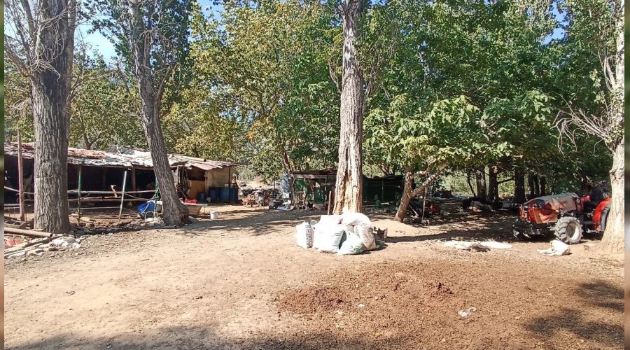 Çiftlik cinayetinde gözaltı sayısı 6'ya yükseldi