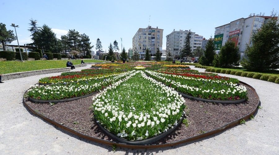 Çorum 150 bin lale ve sümbülle donatılıyor