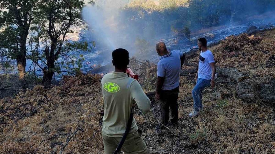 Cudi Dağı'ndaki yangın 7 saatte kontrol altına alındı