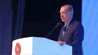 Cumhurbakan Erdoan: "Bu kllar kime ekiyorsunuz, imdi bunlarla ilgili aratrmalar yaplyor"