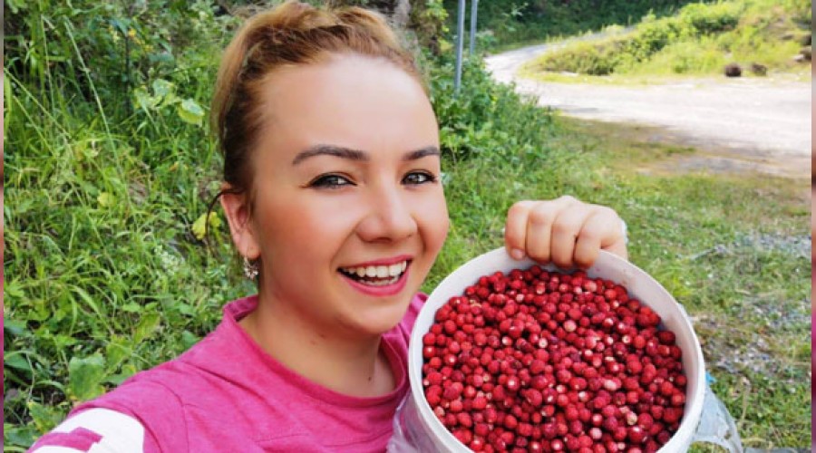 Dağ çileğine talep patladı