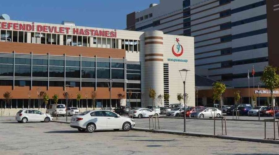 Dağ mantarı zehirledi