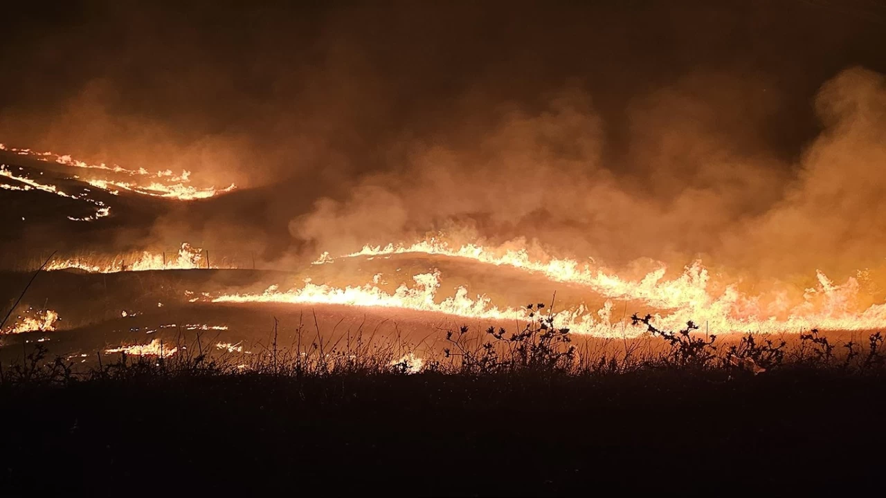 Diyarbakır - Mardin yangınında bilanço çok ağır