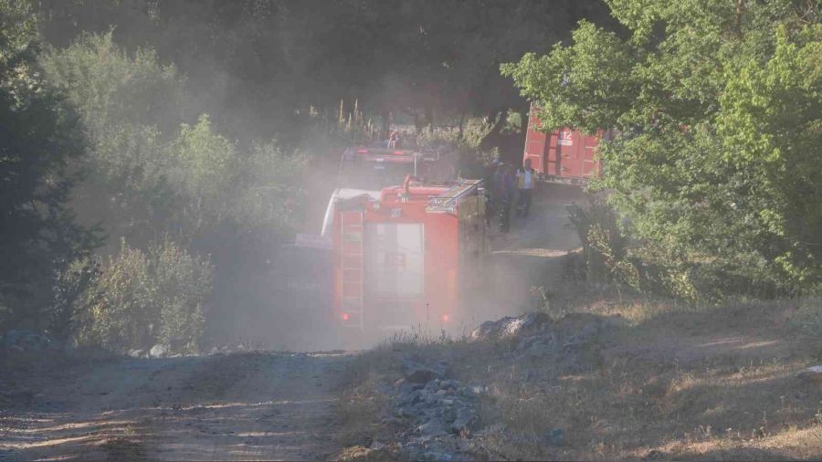 Edirne'de orman yangını kontrol altına alındı