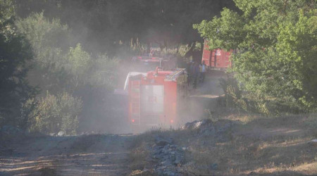 Edirne'de orman yangını kontrol altına alındı