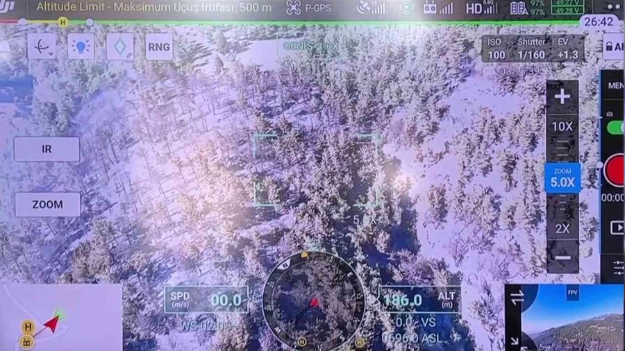 Hatay'da orman yangını