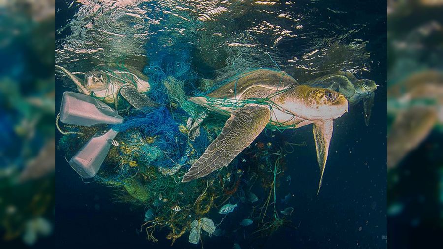 Hayalet ağlar yaşamı tehdit ediyor